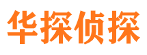 铁力侦探公司